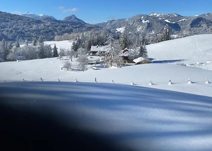Am Plattenbichl - Luxus Mit Pool Und Sauna - Im Sommer Bergbahn Inklusive شقة اوبرستدورف