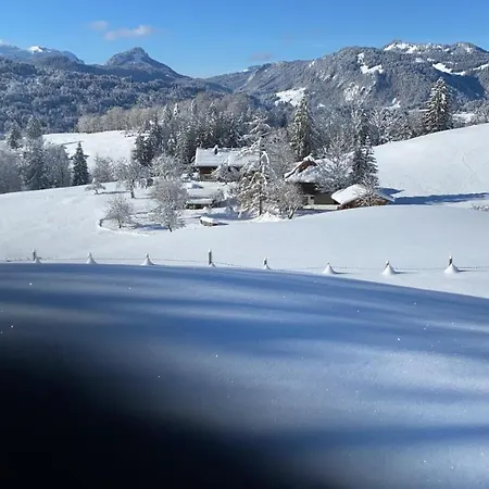 Am Plattenbichl - Luxus Mit Privat-pool Und Sauna - Im Sommer Bergbahn Inklusive Apartment Oberstdorf